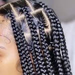 mini san pedro cactus