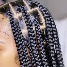 mini san pedro cactus